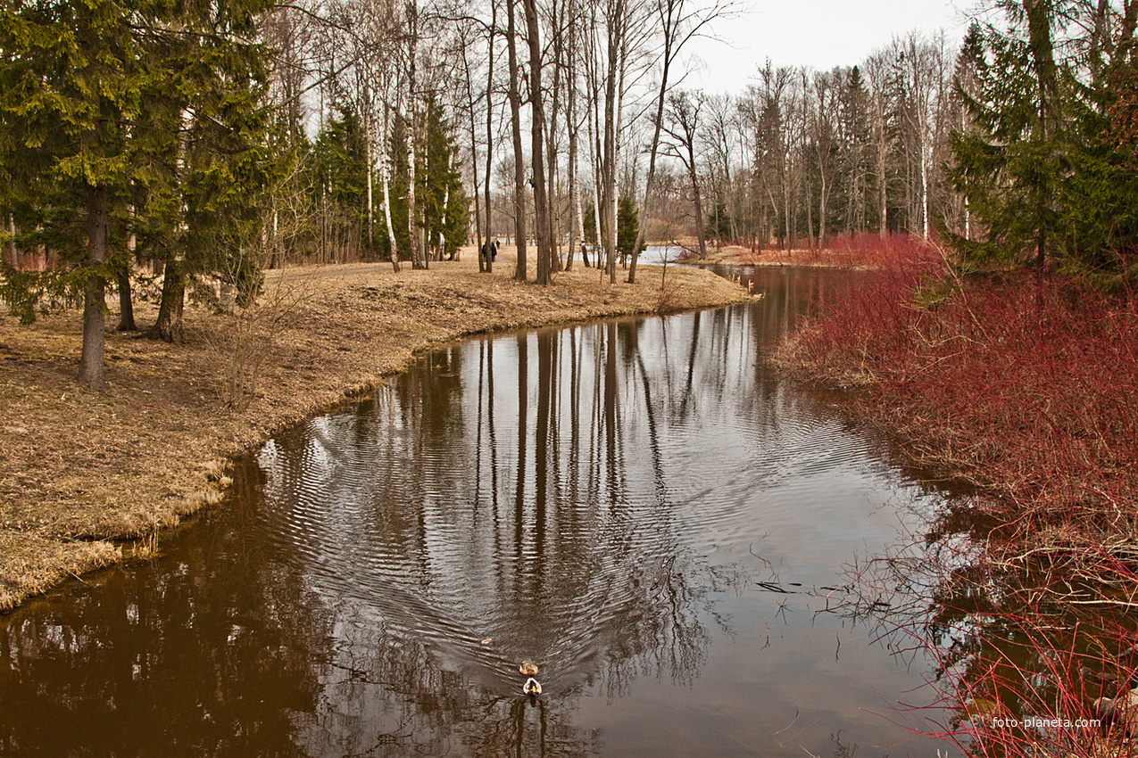 Верхний Ламский пруд