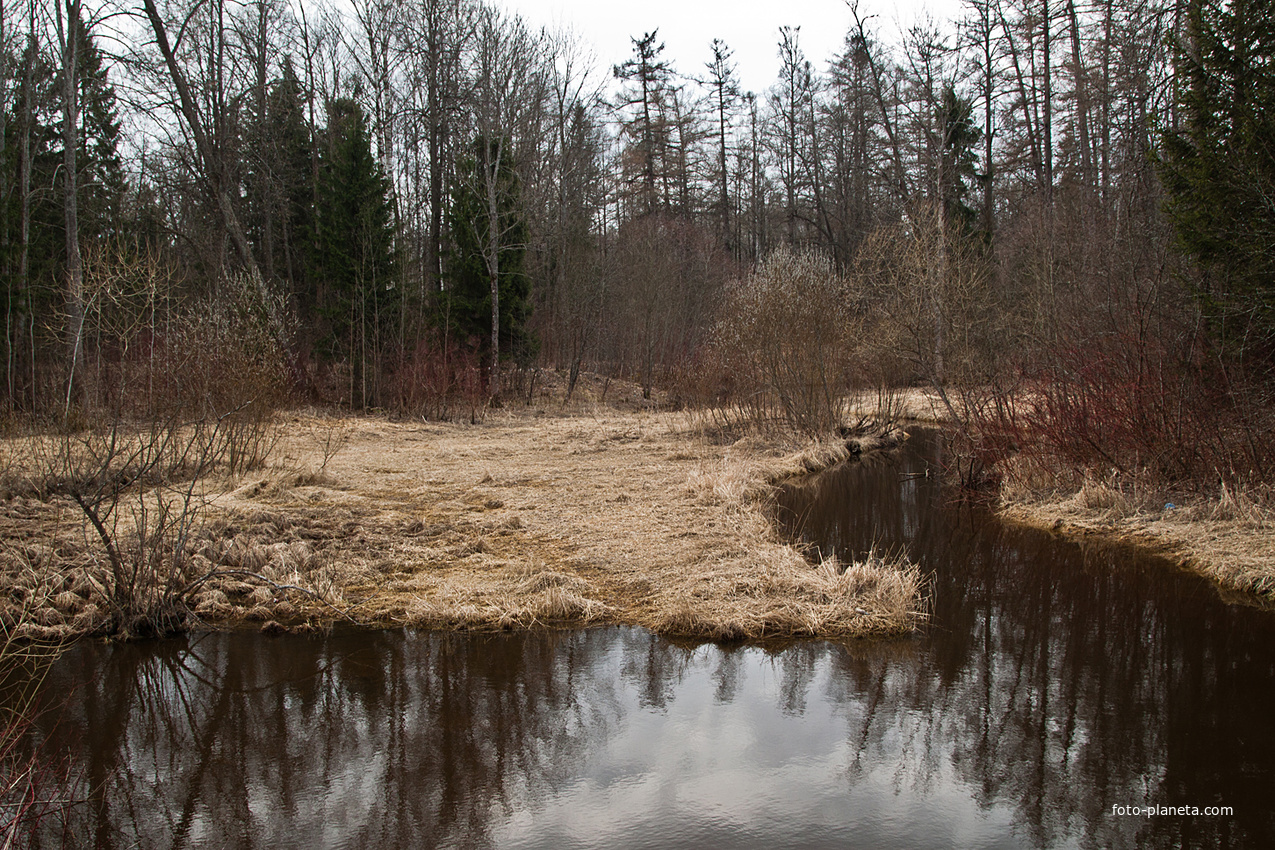 Река Кузьминка