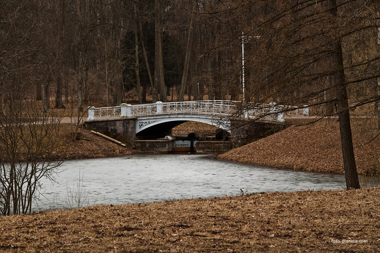 В Александровском парке