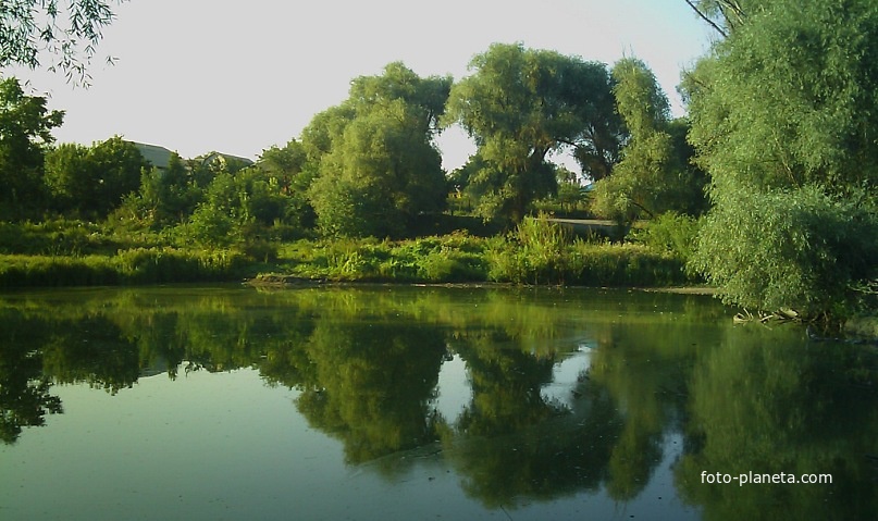 сільський ставок