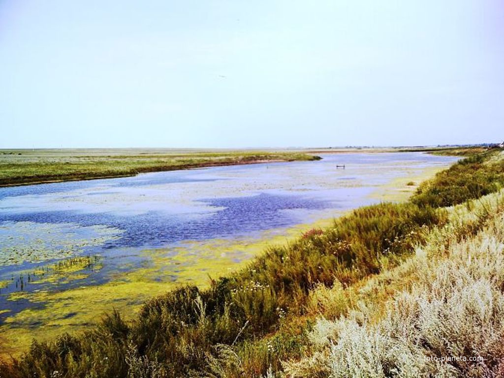 георгиевка