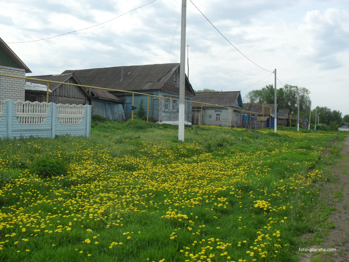 деревня Татарское Макулово