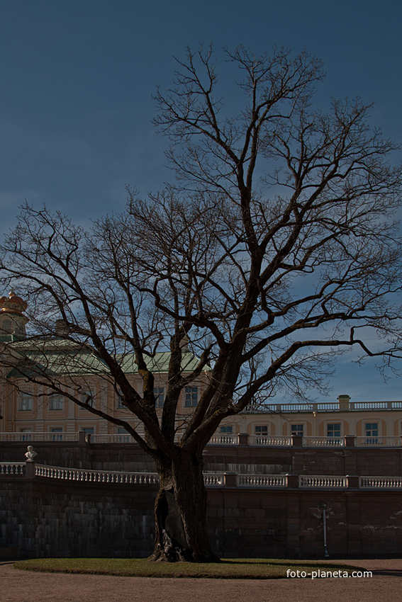 В Нижнем парке