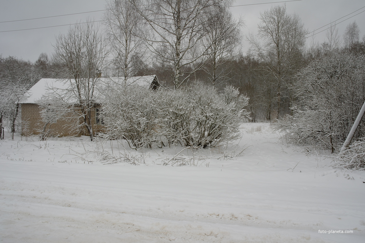деревня Мазиха Гдовский район