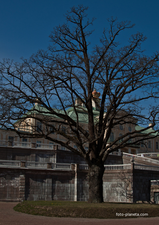 В Нижнем парке