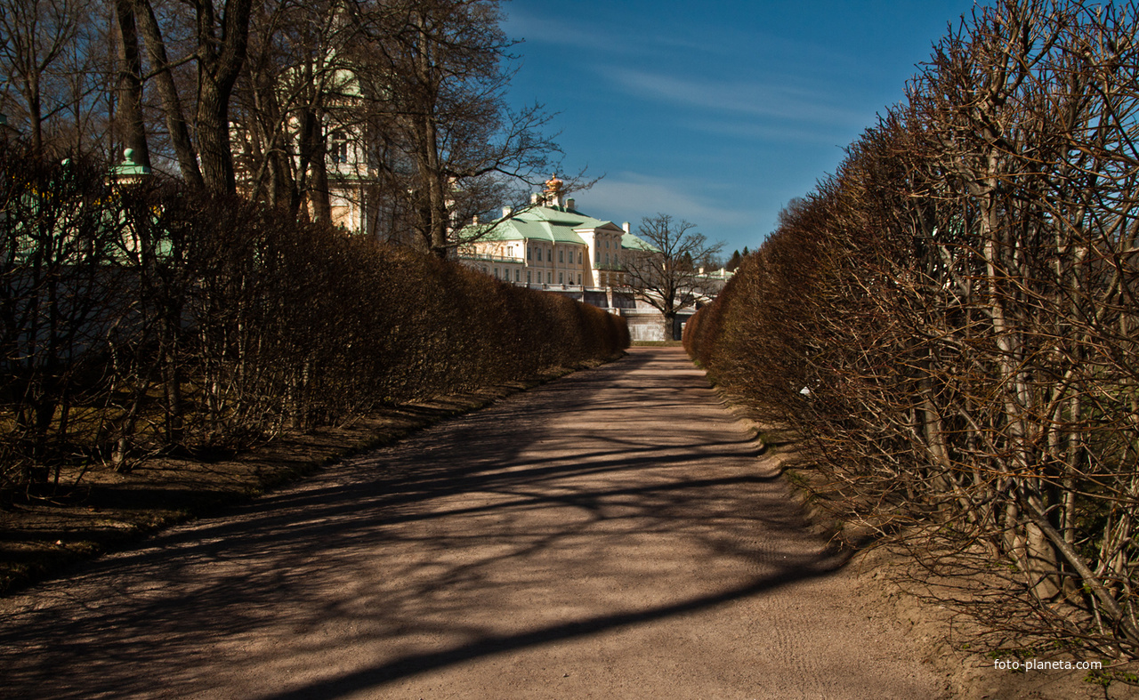 Аллея в Нижнем парке