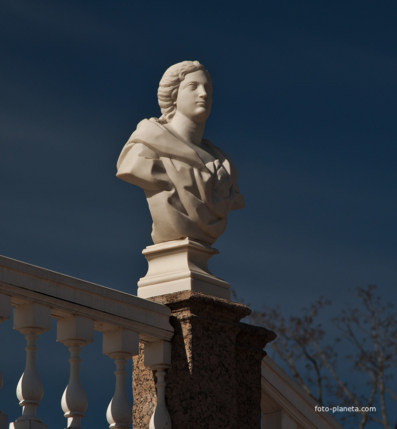 Бюст на лестнице Меншиковского дворца