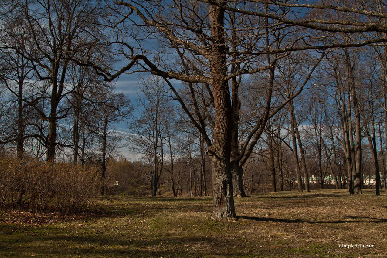 Верхний парк