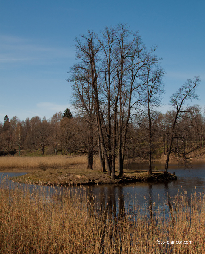 Нижний пруд