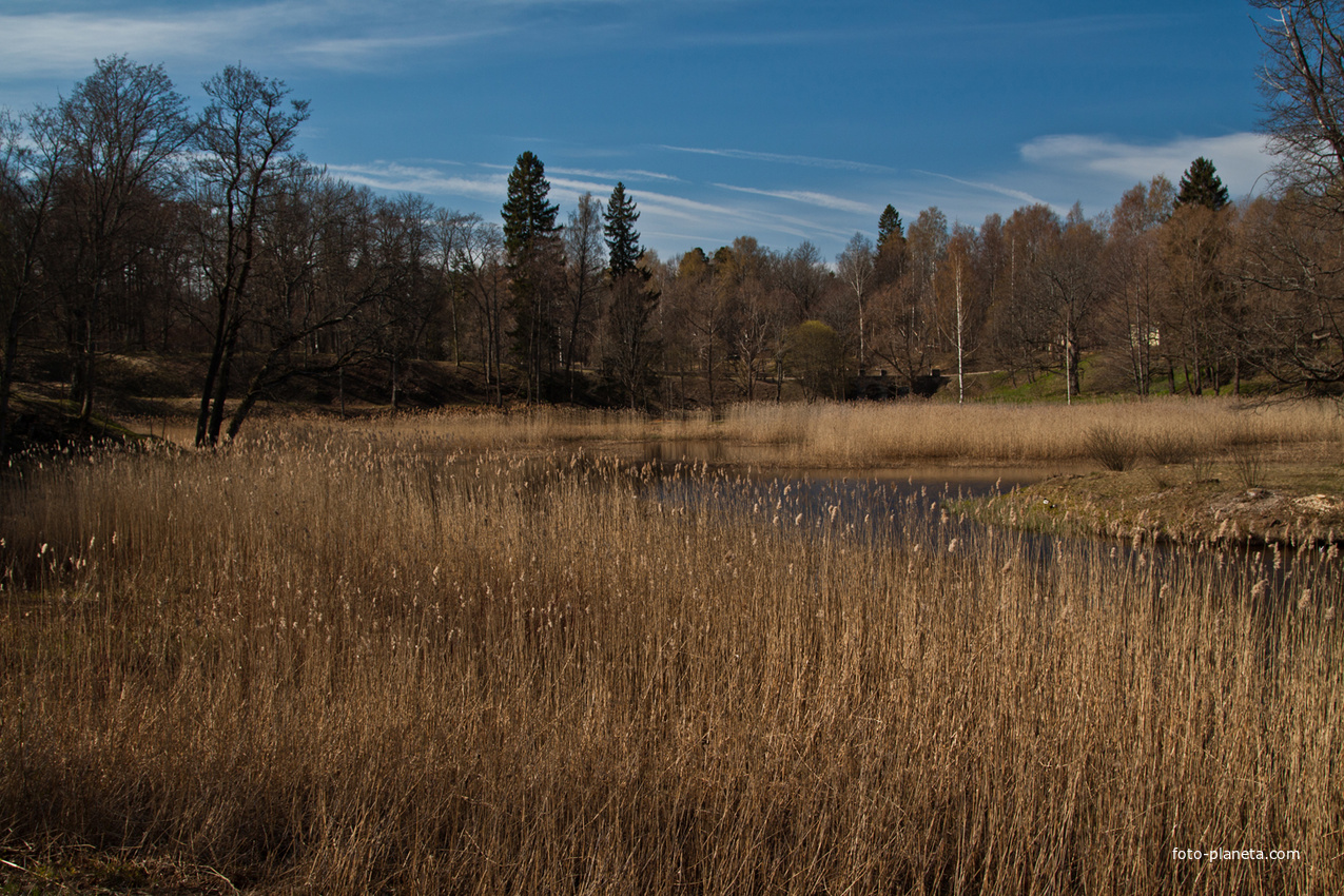 Нижний пруд