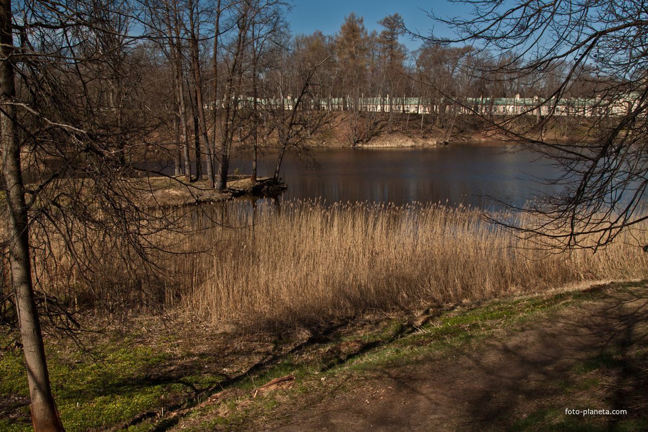 Нижний пруд