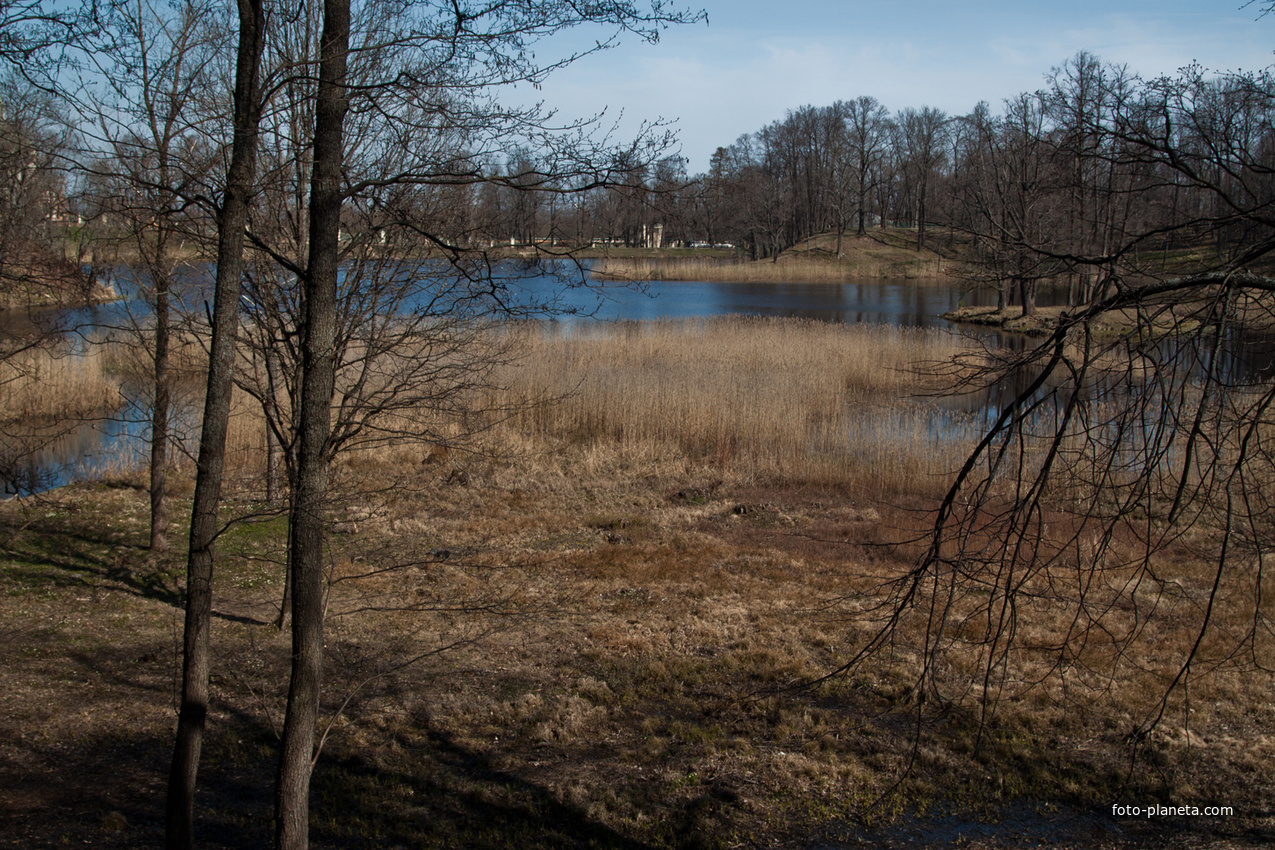 Нижний пруд