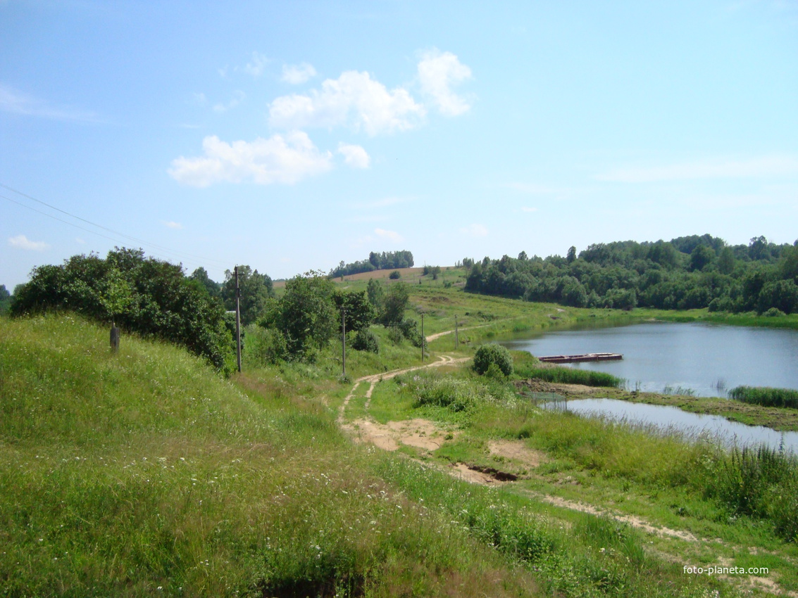 Деревня Гришино