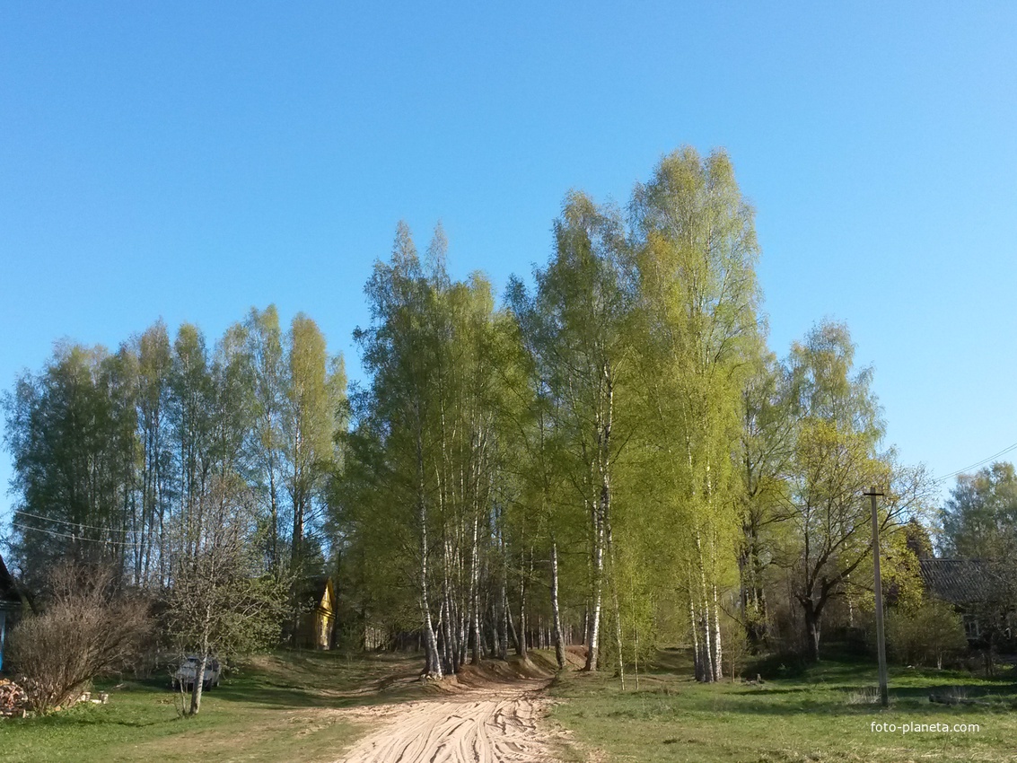 Знаменское пензенская область