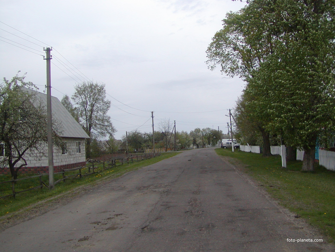 Вулиця на в*їзді в село з боку Новаків.