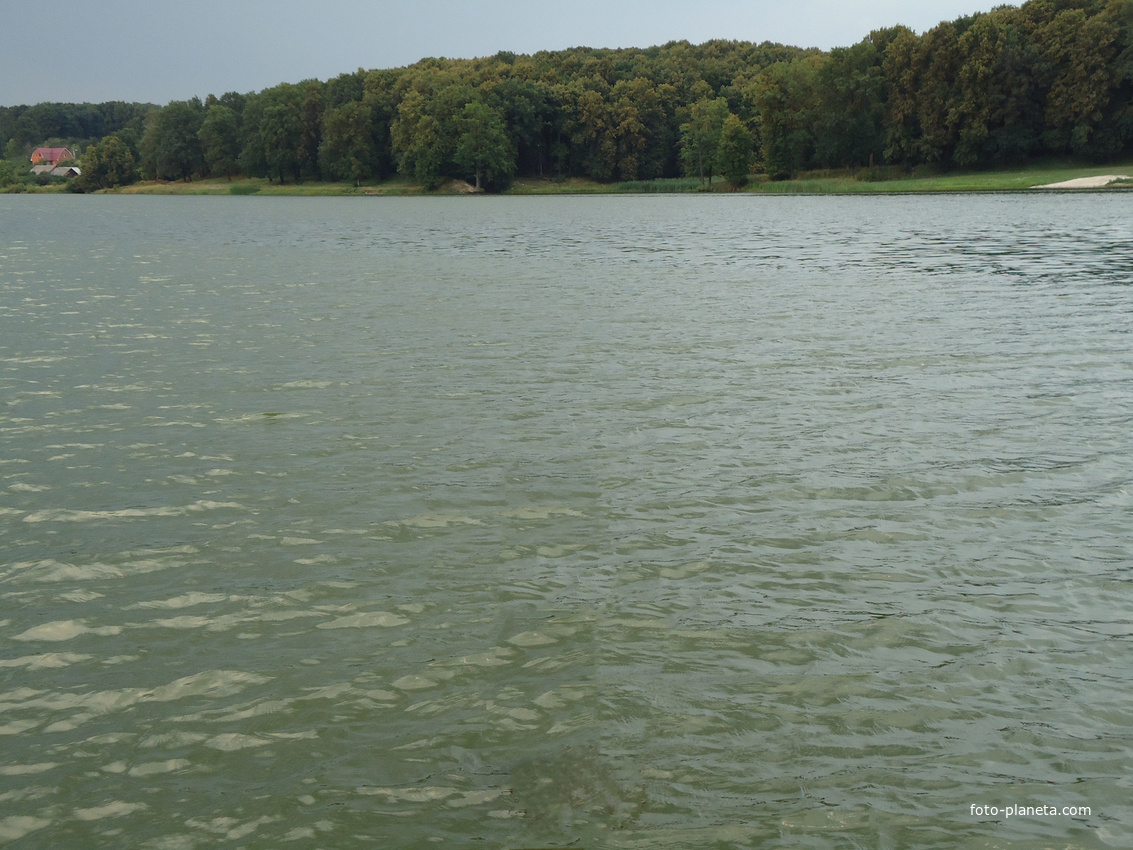 Река Воронка