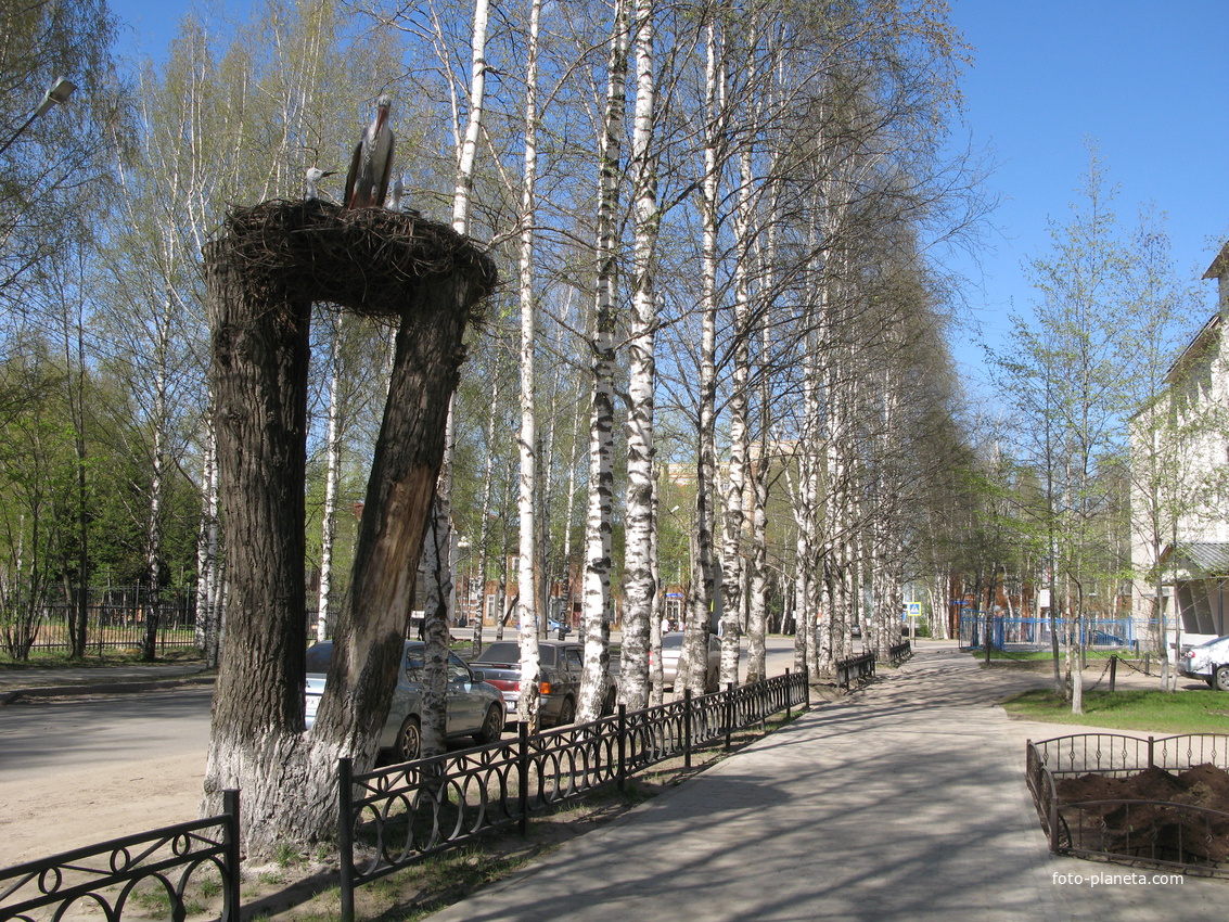 Сыктывкар 2014 - ул. Д.Каликовой