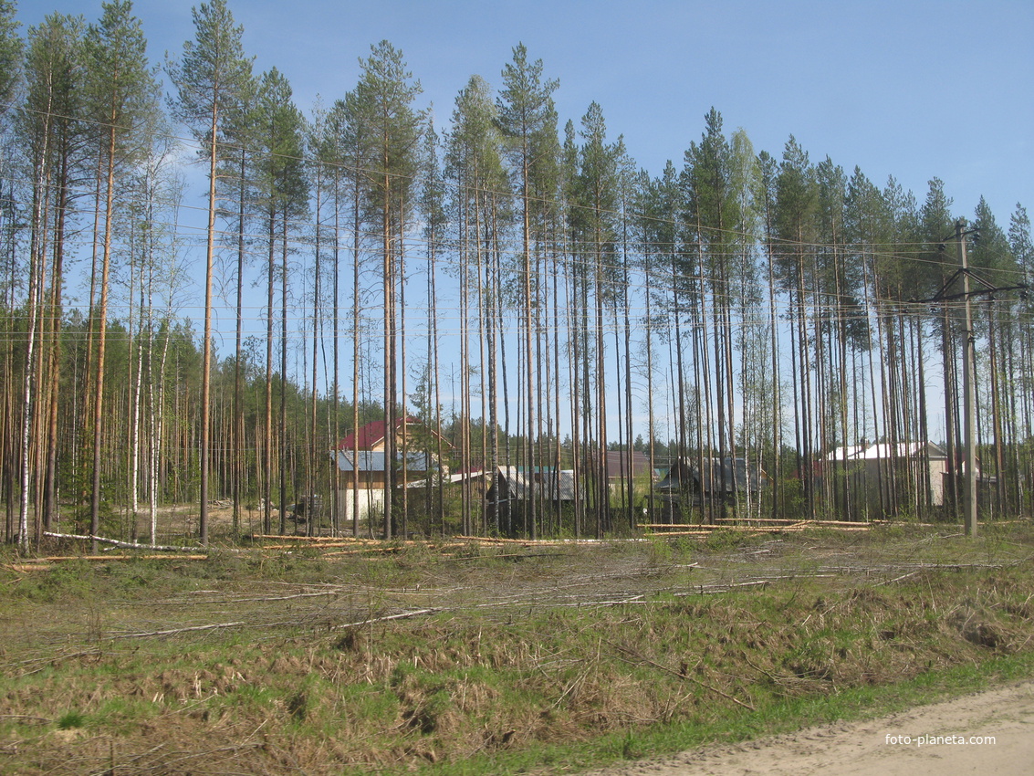 Верхняя Максаковка