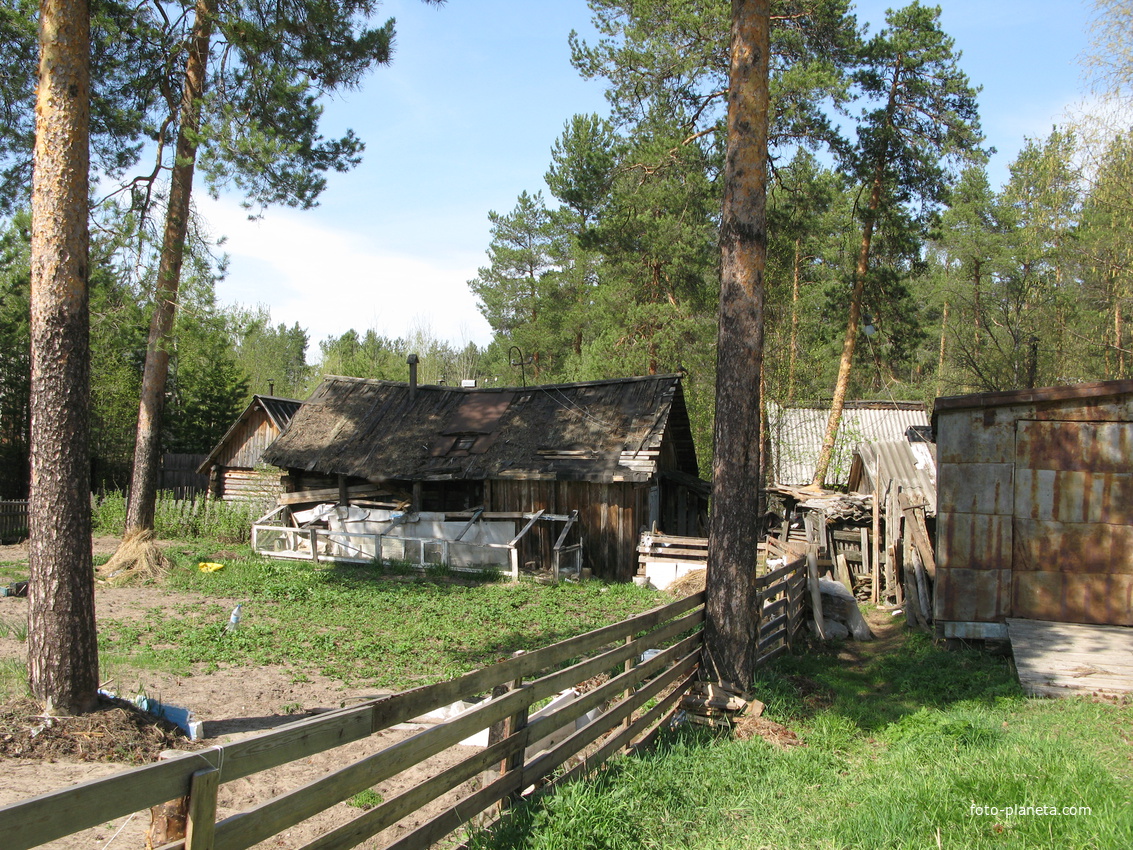 Верхняя Максаковка 2014