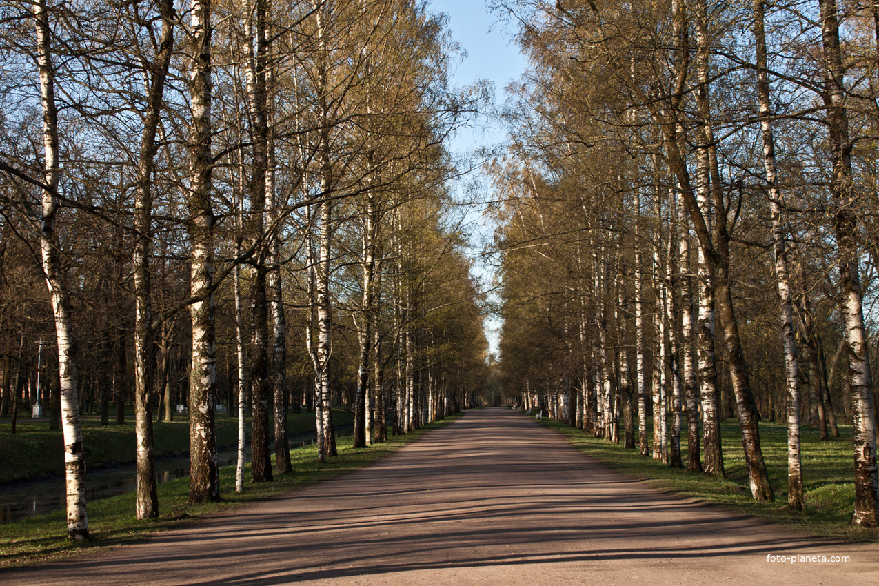 Александровский парк