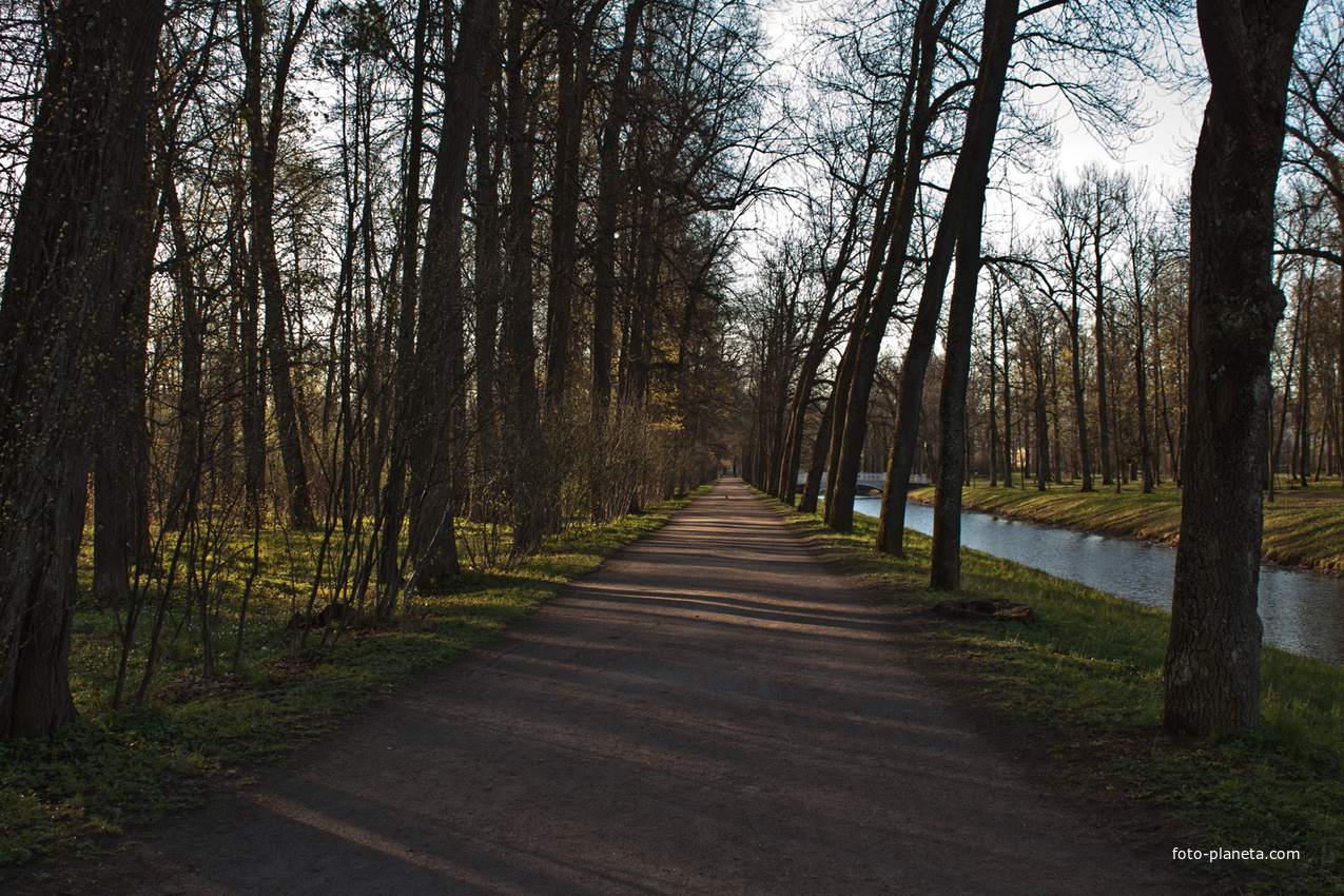 Александровский парк