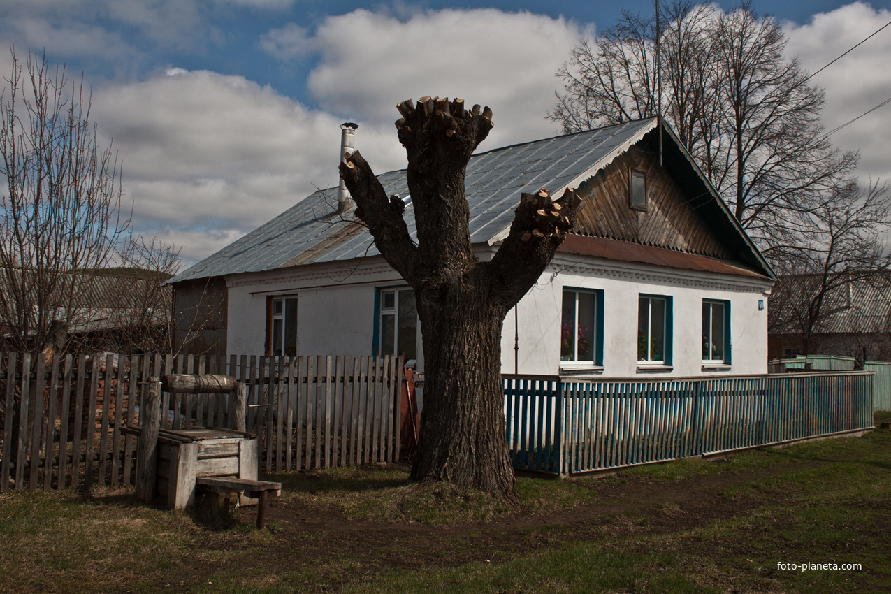 Улица Мира, дом 60