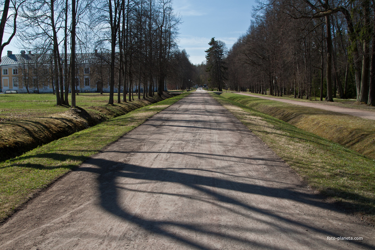 Аллея в Верхнем парке