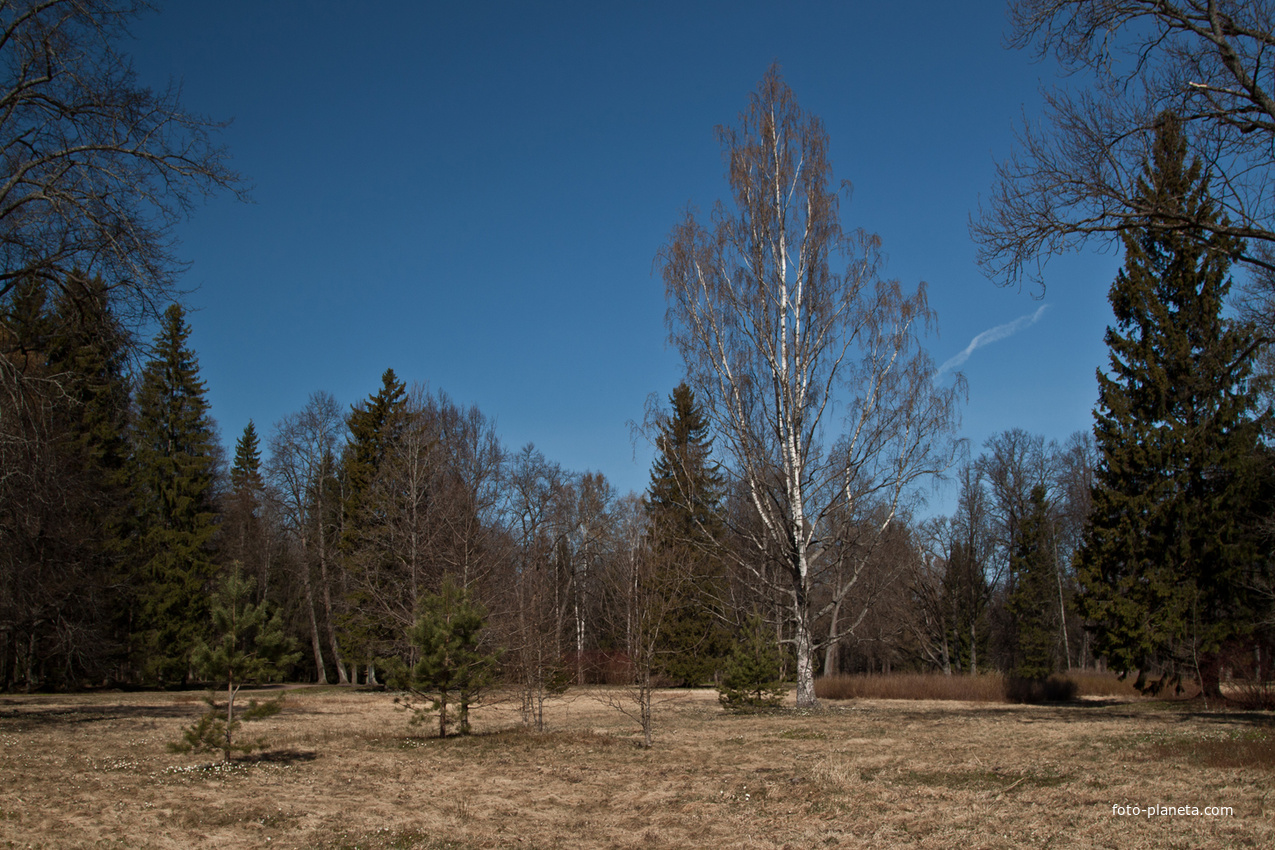Верхний парк
