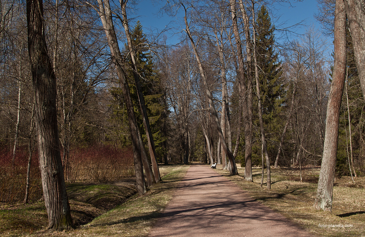 Верхний парк