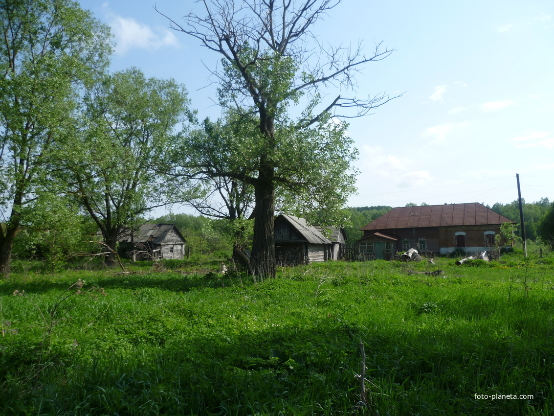 Деревня Ширино сейчас 2013 год