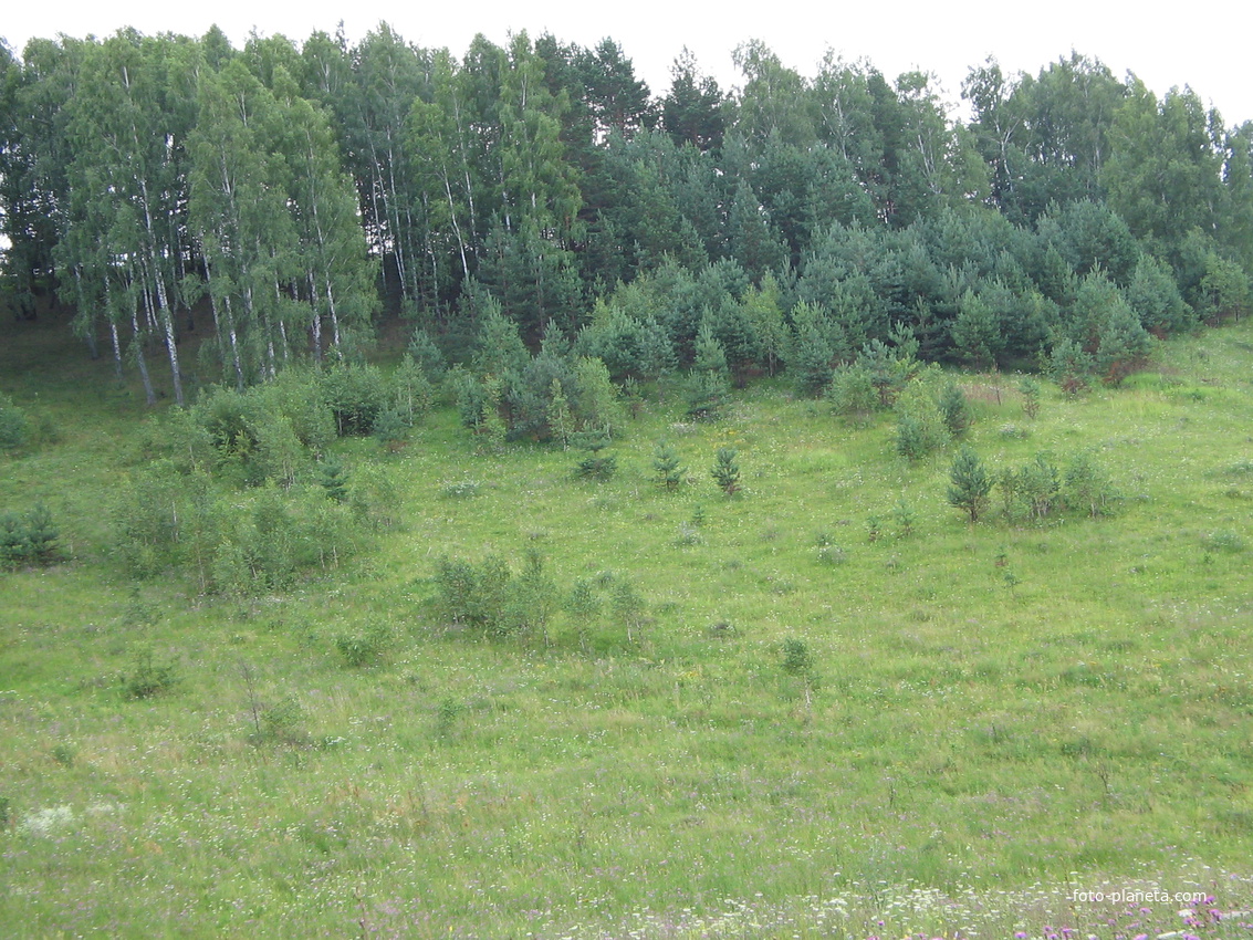 Фото деревни белочь дмитровского района орловской области
