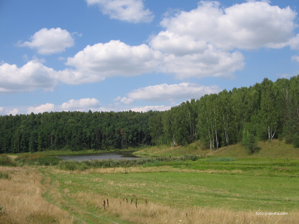 Белочь.Ставок.