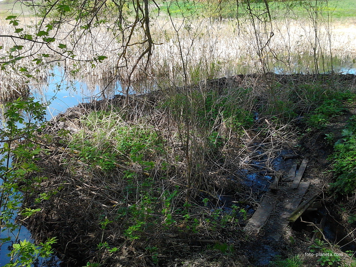 пруд в деревне Станы