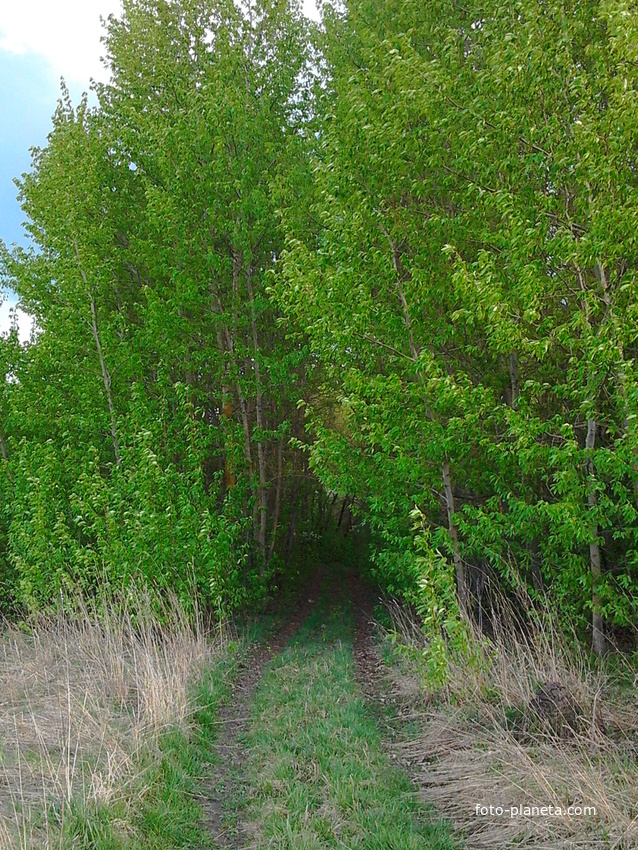 Становский проулок