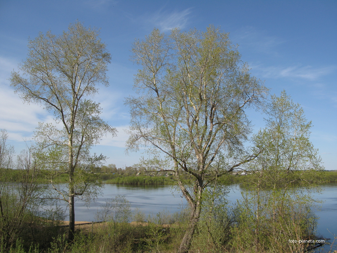 Сыктывкар 2014 - река Сысола