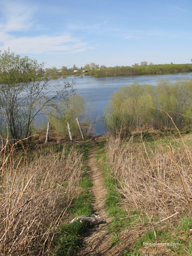 Сыктывкар 2014 - тропка к Сысоле