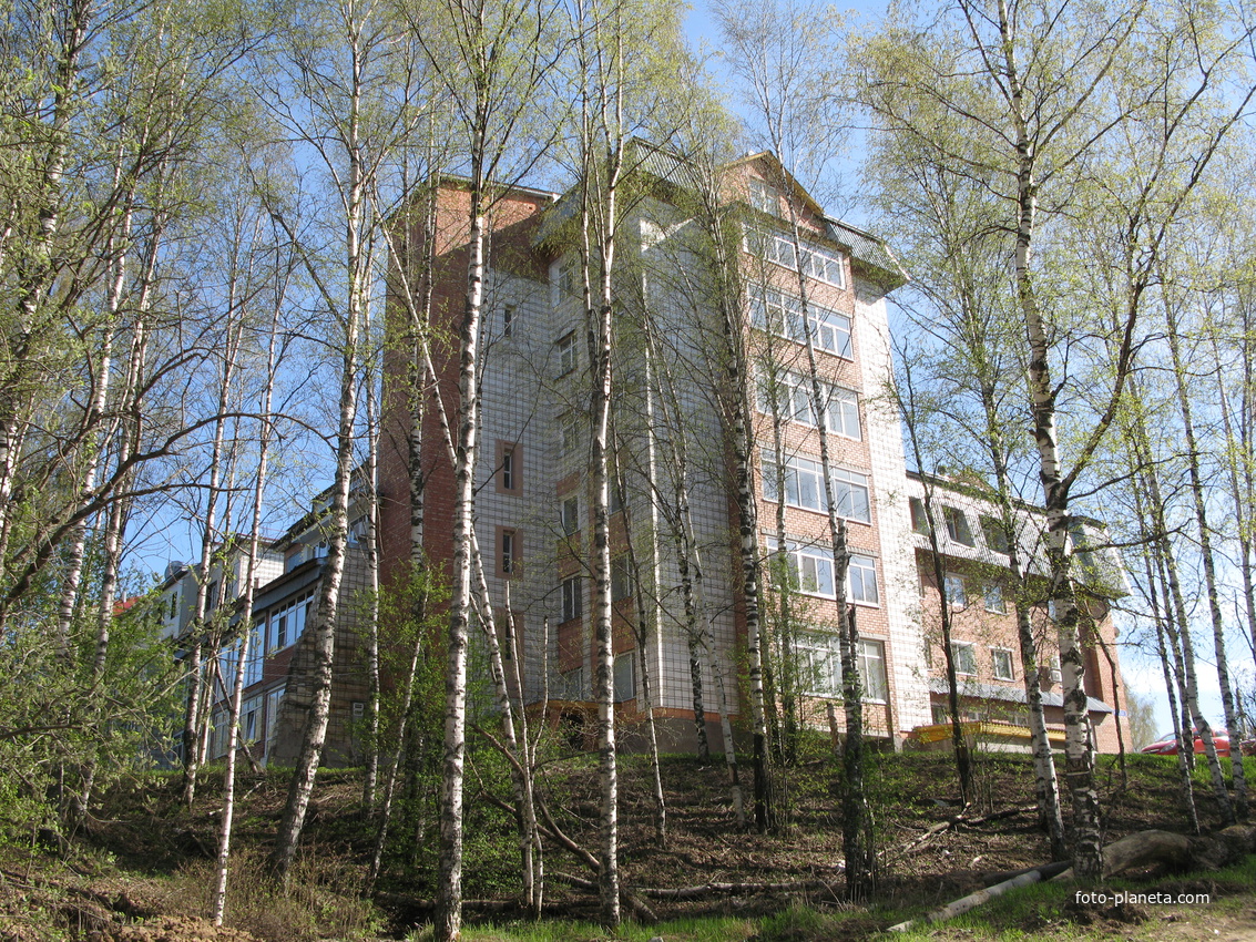 Сыктывкар 2014 - ул. Пушкина