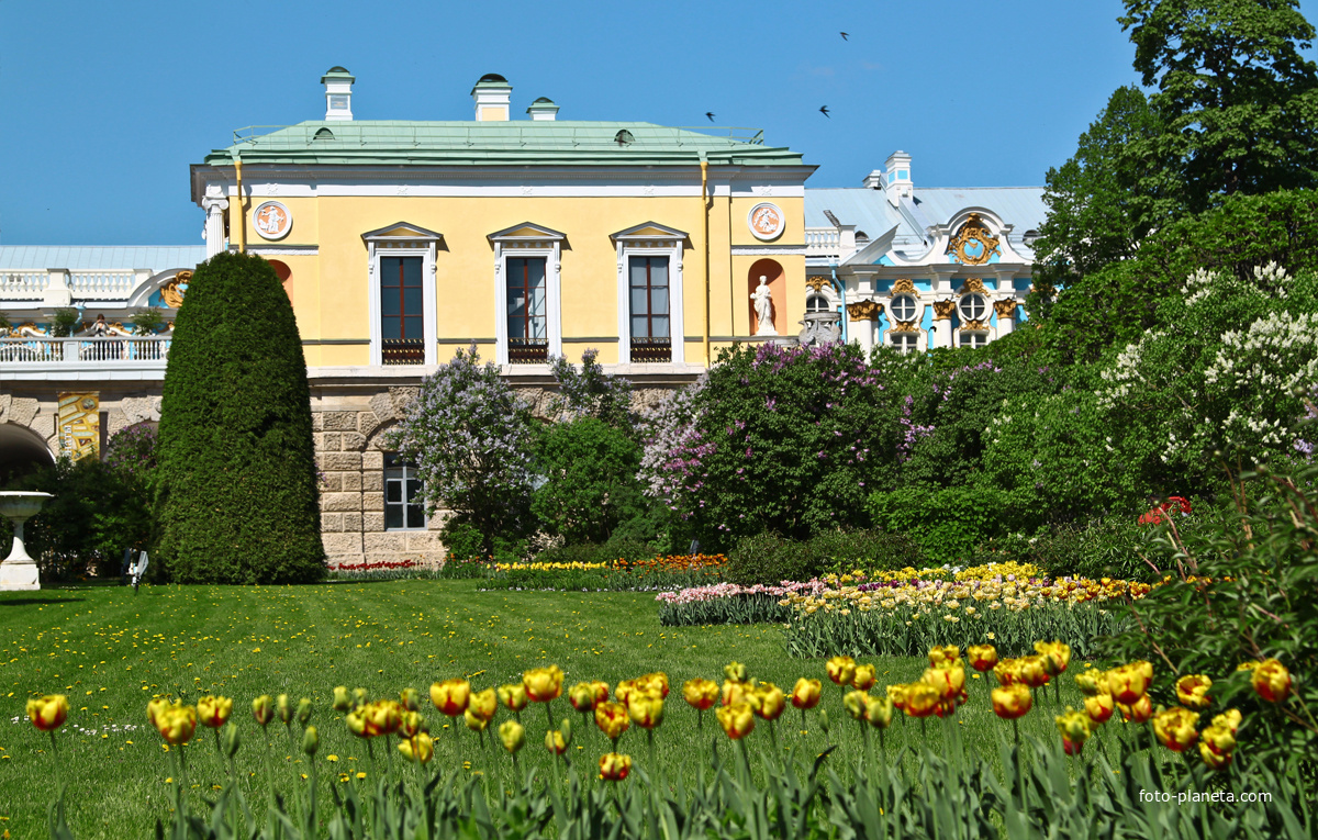 Фрейлинский садик