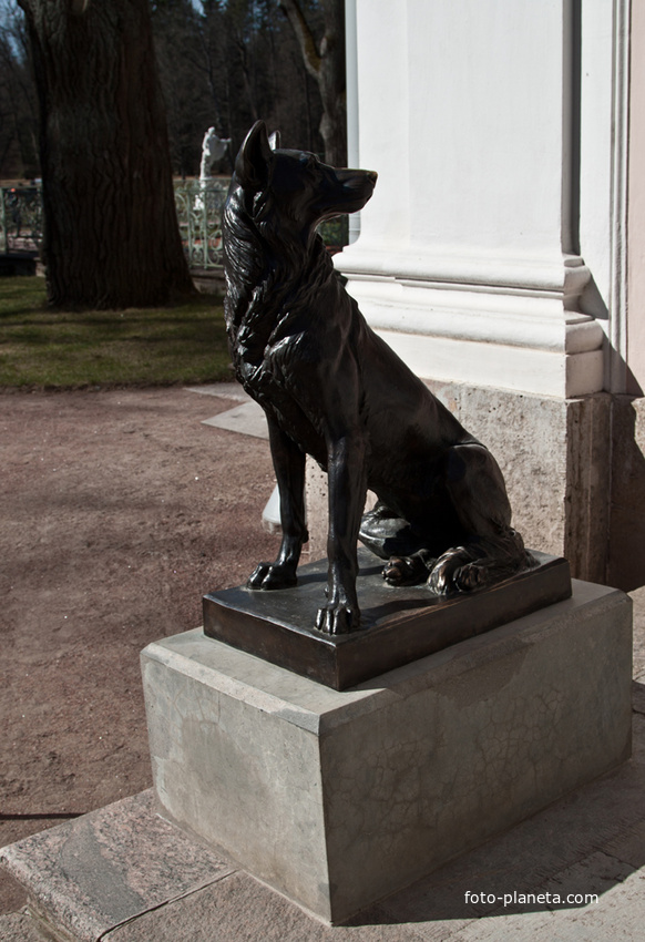 Статуя собаки