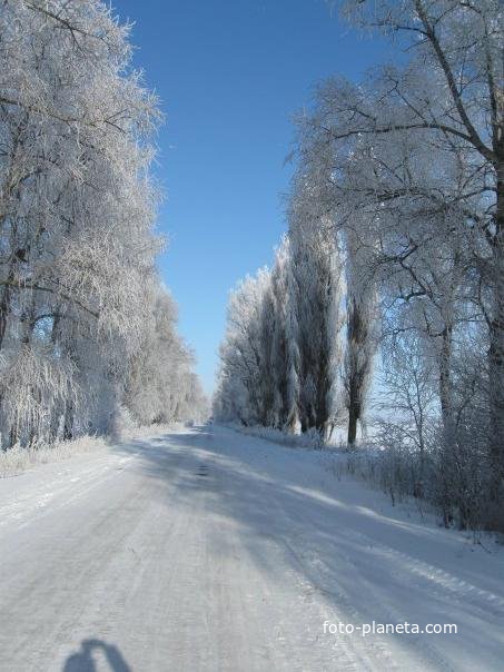 Шлях який веде в село .Обстановка зимою.