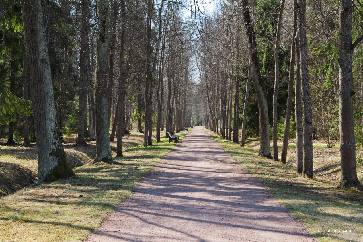 Верхний парк