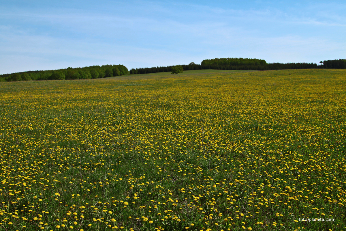 Природа Алтаево