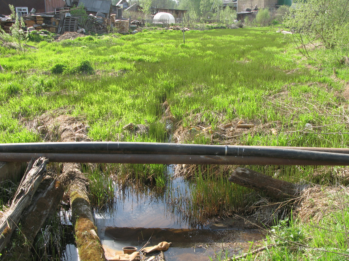 Сыктывкар 2014  - лесозавод