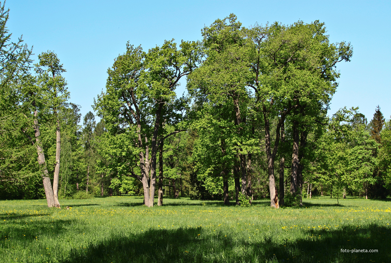 Александровский парк