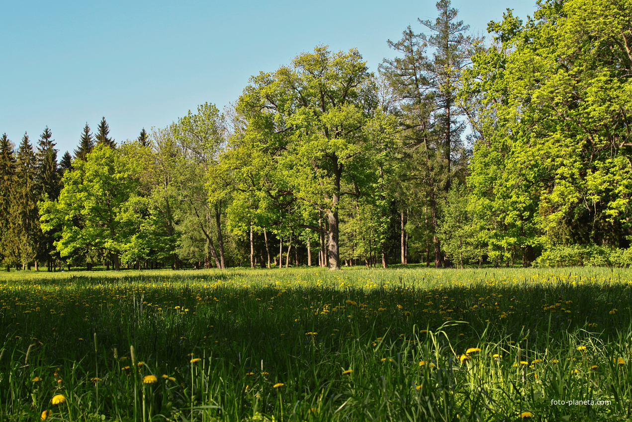 Александровский парк
