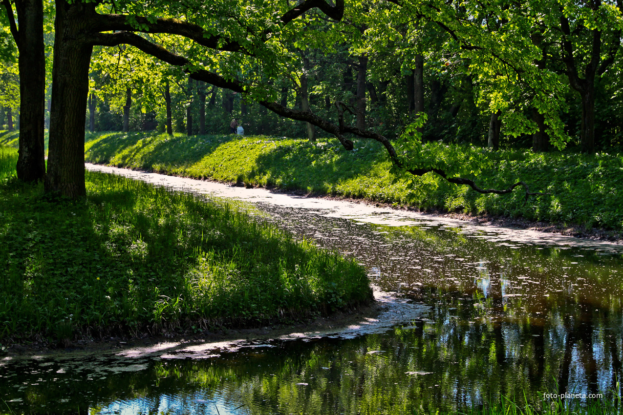 Канал в парке