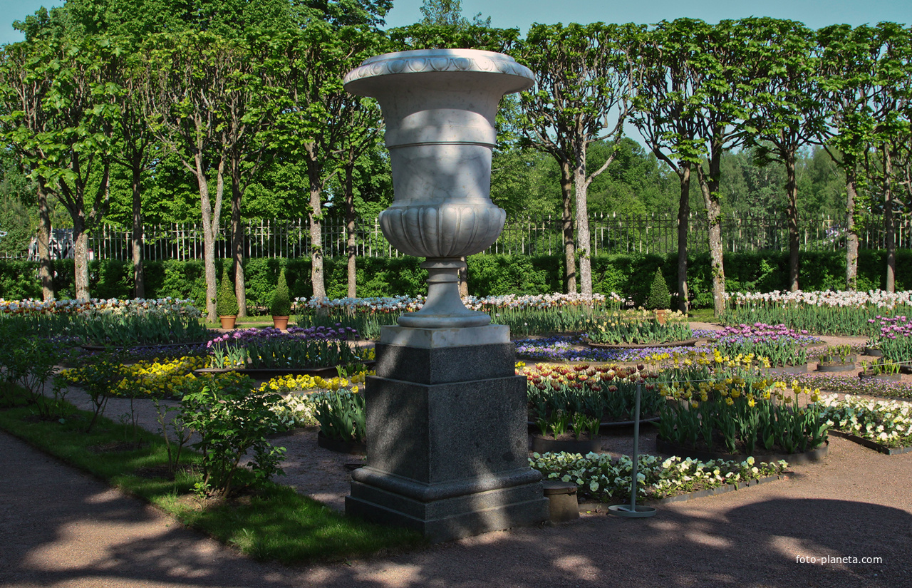 Собственный садик