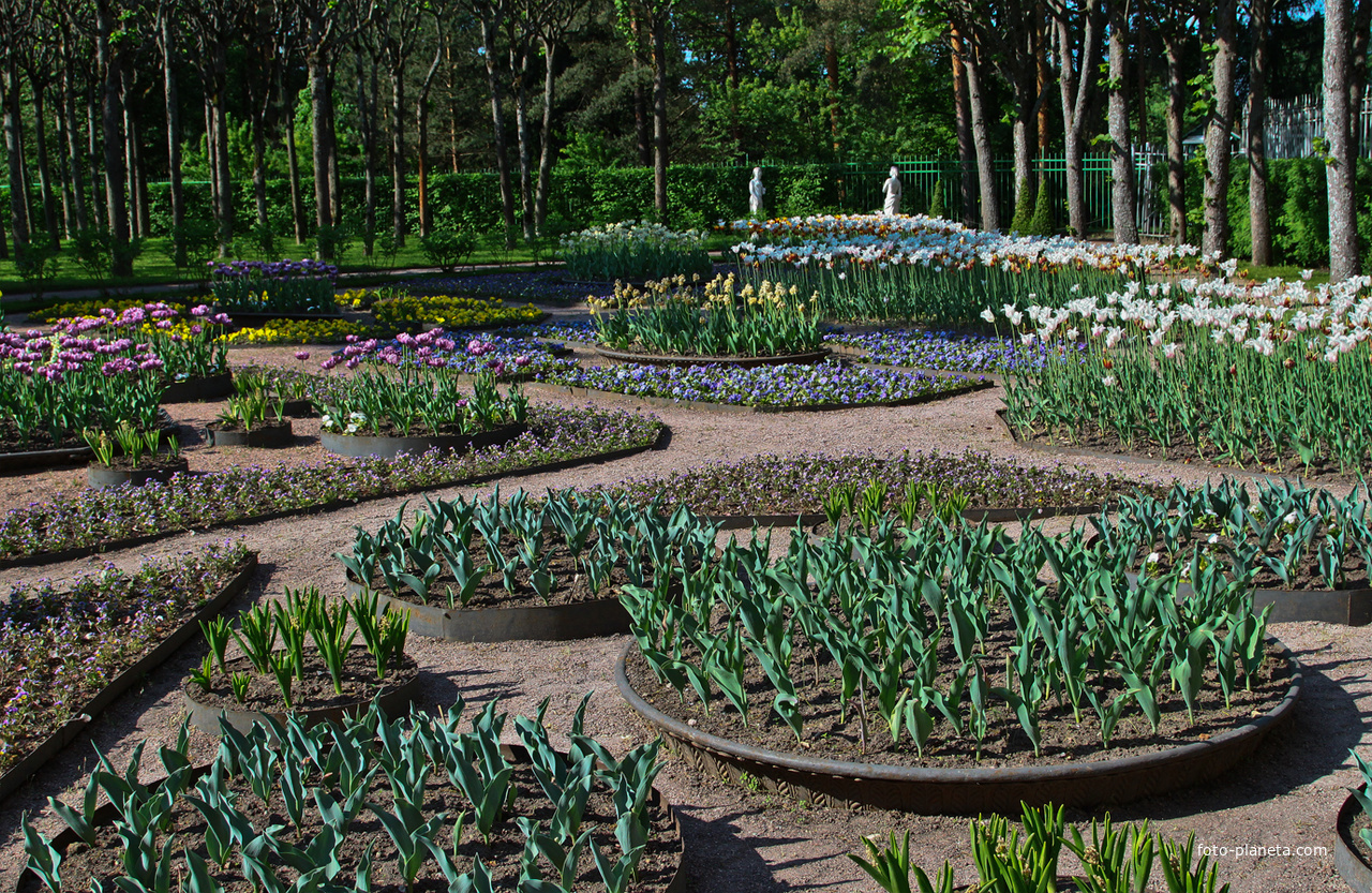 Собственный садик