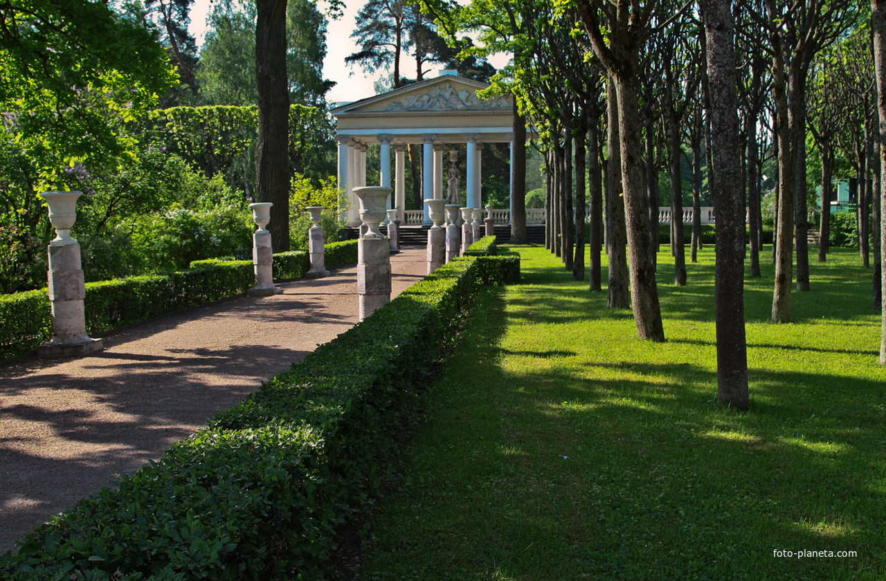 Собственный садик