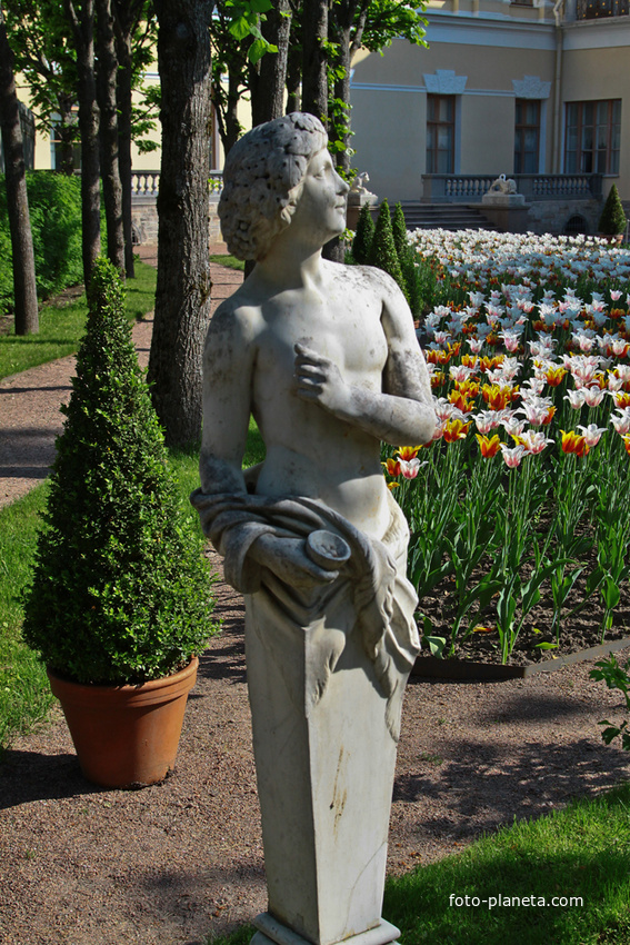 В Собственном садике